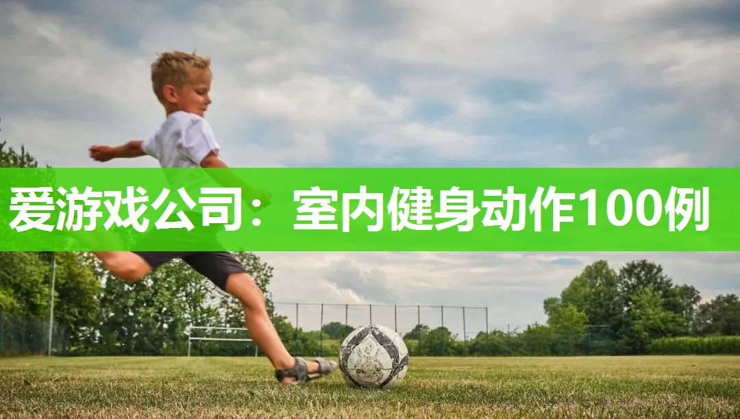 爱游戏公司：室内健身动作100例