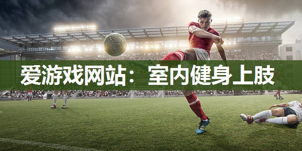 爱游戏网站：室内健身上肢
