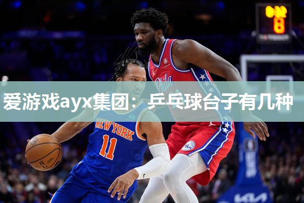 爱游戏ayx集团：乒乓球台子有几种
