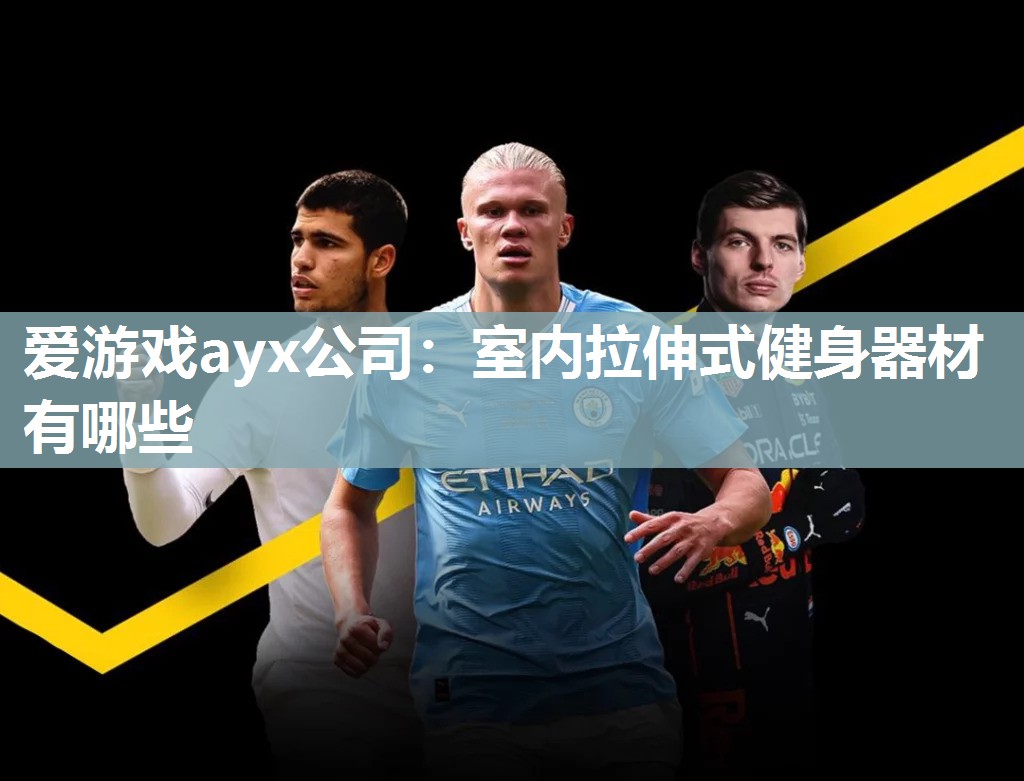 爱游戏ayx公司：室内拉伸式健身器材有哪些