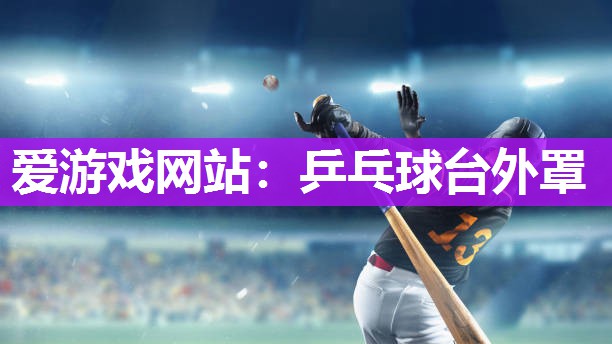 爱游戏网站：乒乓球台外罩