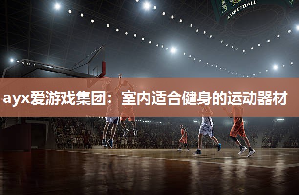 ayx爱游戏集团：室内适合健身的运动器材