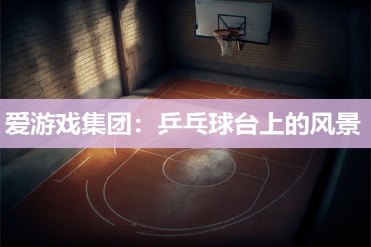 爱游戏集团：乒乓球台上的风景