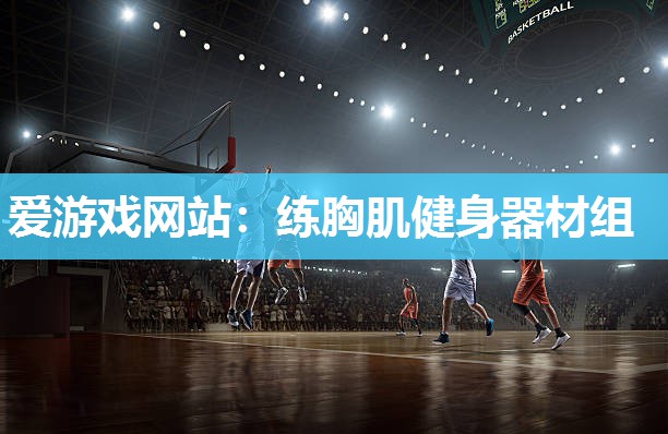 爱游戏网站：练胸肌健身器材组