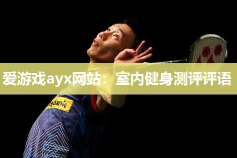 爱游戏ayx网站：室内健身测评评语