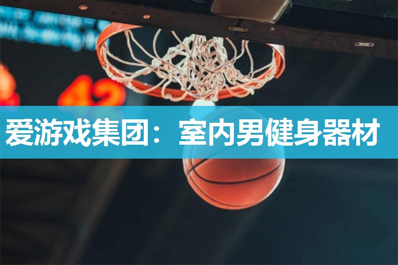 爱游戏集团：室内男健身器材
