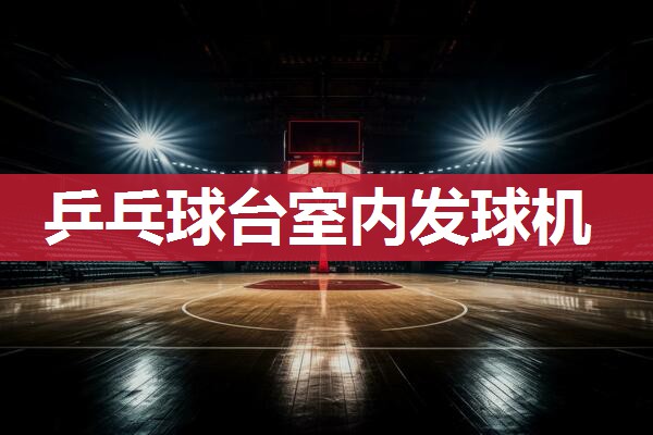 乒乓球台室内发球机