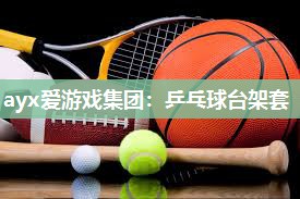 ayx爱游戏集团：乒乓球台架套