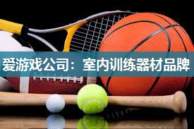 爱游戏公司：室内训练器材品牌