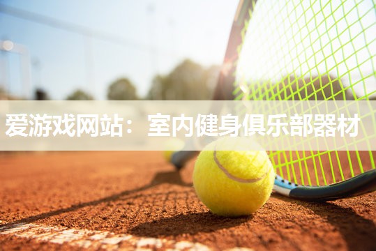 爱游戏网站：室内健身俱乐部器材