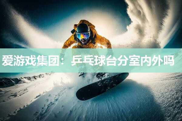 爱游戏集团：乒乓球台分室内外吗