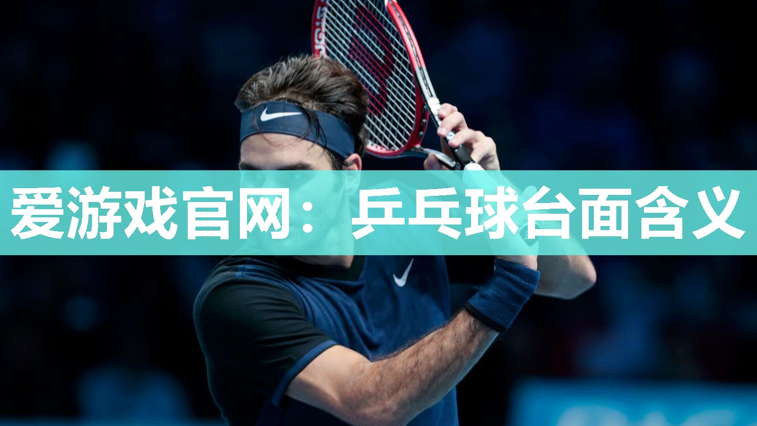 爱游戏官网：乒乓球台面含义