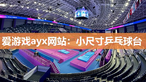 爱游戏ayx网站：小尺寸乒乓球台
