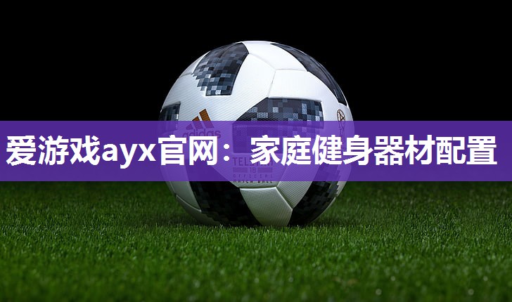爱游戏ayx官网：家庭健身器材配置