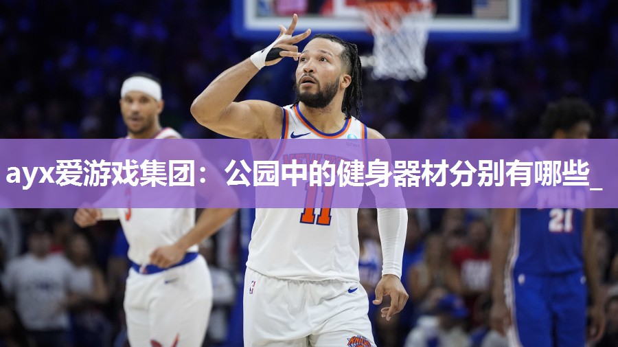 ayx爱游戏集团：公园中的健身器材分别有哪些_
