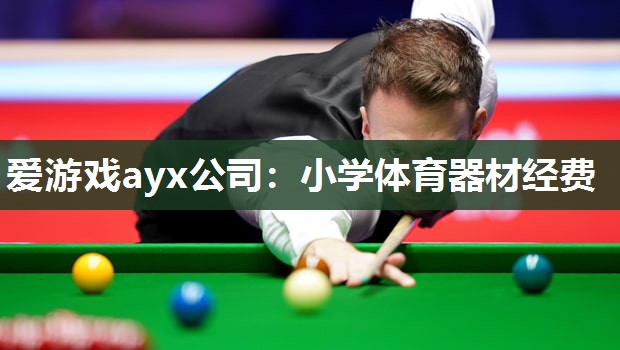 爱游戏ayx公司：小学体育器材经费