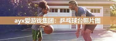 ayx爱游戏集团：乒乓球台照片图