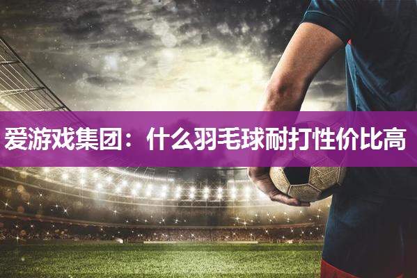 爱游戏集团：什么羽毛球耐打性价比高