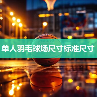 单人羽毛球场尺寸标准尺寸