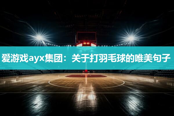 爱游戏ayx集团：关于打羽毛球的唯美句子