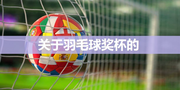关于羽毛球奖杯的