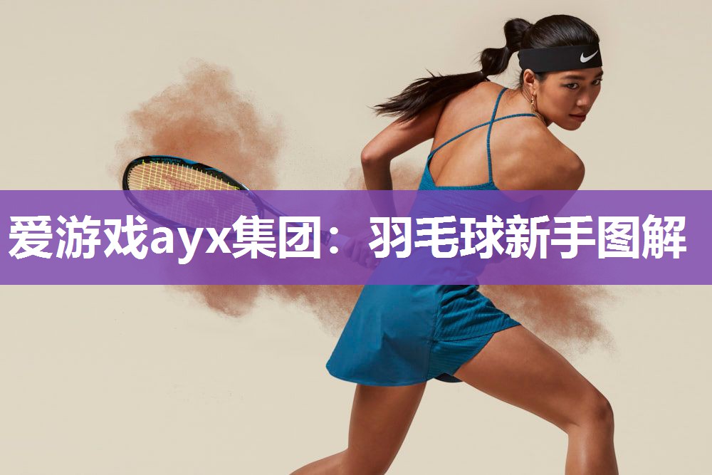 爱游戏ayx集团：羽毛球新手图解