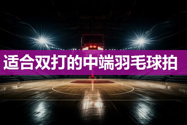 适合双打的中端羽毛球拍