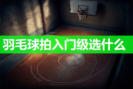 羽毛球拍入门级选什么