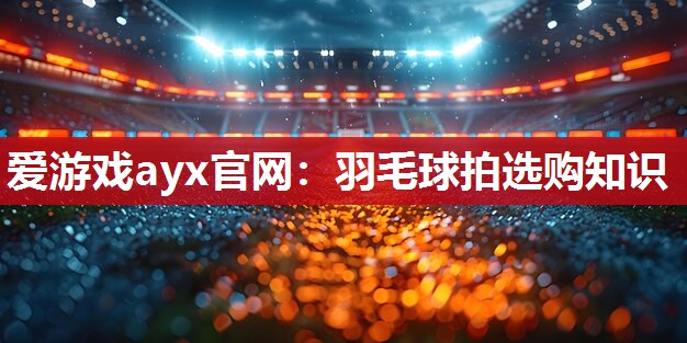 爱游戏ayx官网：羽毛球拍选购知识