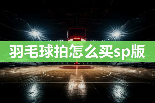 羽毛球拍怎么买sp版