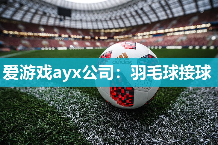 爱游戏ayx公司：羽毛球接球