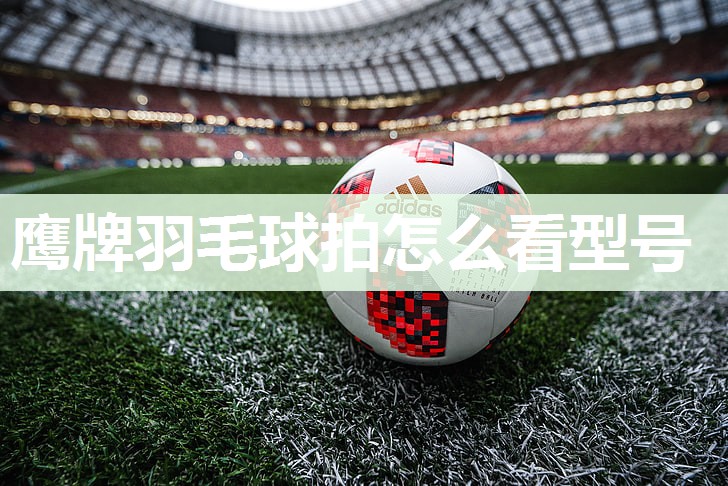 鹰牌羽毛球拍怎么看型号