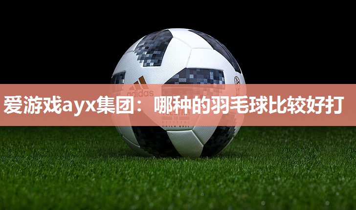爱游戏ayx集团：哪种的羽毛球比较好打