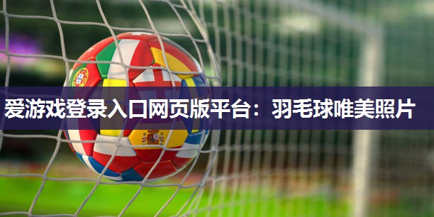 爱游戏登录入口网页版平台：羽毛球唯美照片