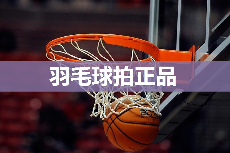 羽毛球拍正品