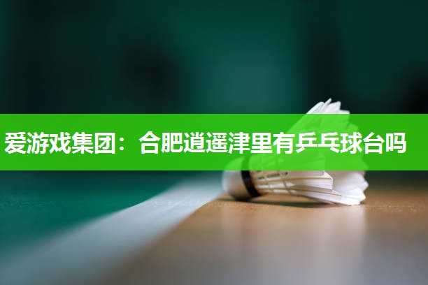 合肥逍遥津里有乒乓球台吗