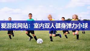 室内双人健身弹力小球