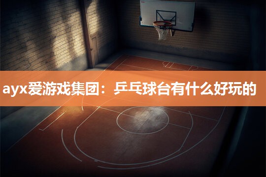 乒乓球台有什么好玩的
