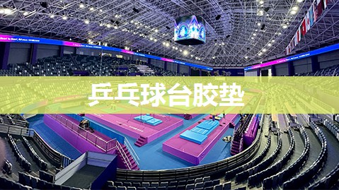 乒乓球台胶垫