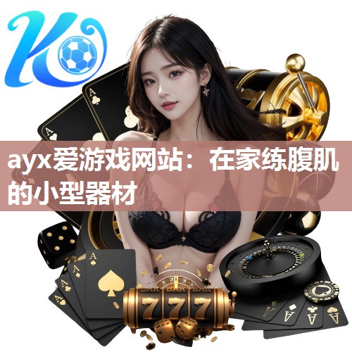 在家练腹肌的小型器材
