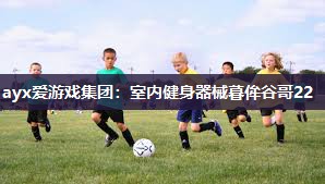室内健身器械暮侔谷哥22