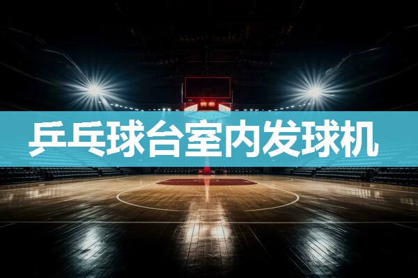 乒乓球台室内发球机