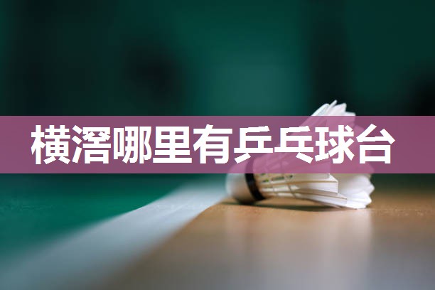 横滘哪里有乒乓球台