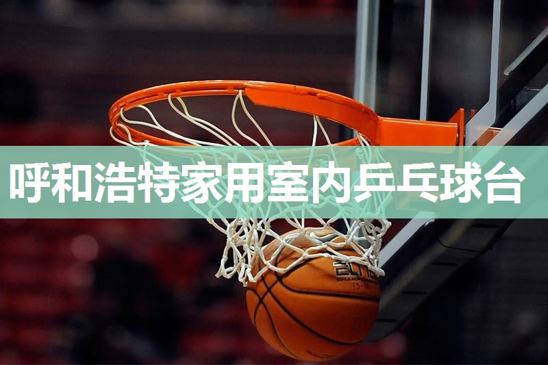 呼和浩特家用室内乒乓球台