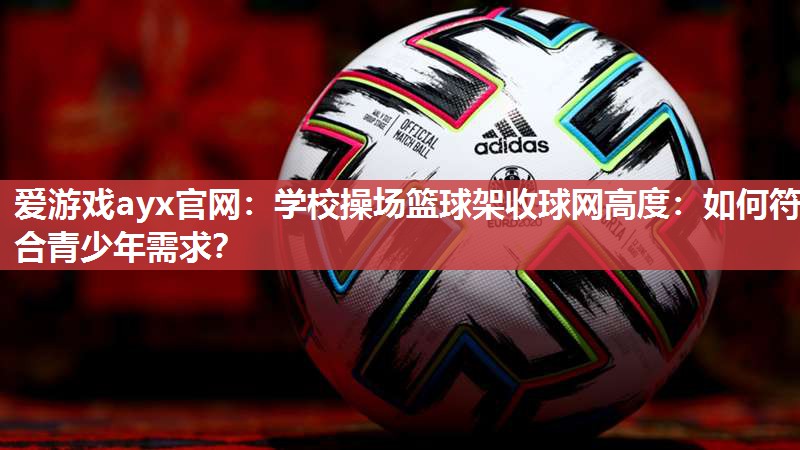 学校操场篮球架收球网高度：如何符合青少年需求？