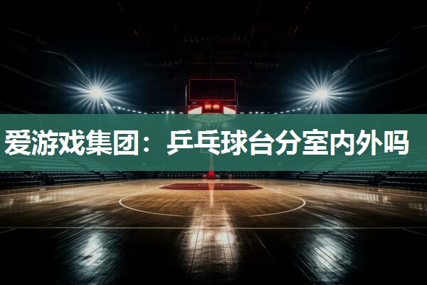 乒乓球台分室内外吗