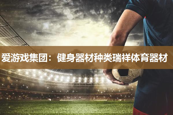 健身器材种类瑞祥体育器材