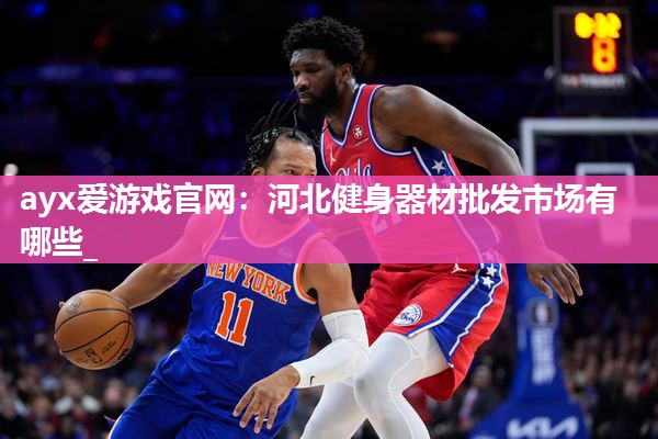 河北健身器材批发市场有哪些_