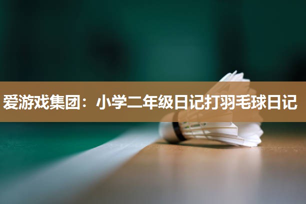 小学二年级日记打羽毛球日记