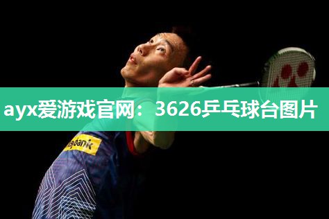 3626乒乓球台图片